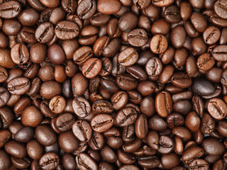 Coffee beans background, big fragrant roasted grains, food photo