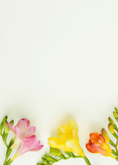 Naklejka na ściany i meble Border of fresh freesia flowers on light green background. Flat lay, top view. Copy space.