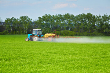 Fototapeta premium Tractor spraying pesticides at wheat fields