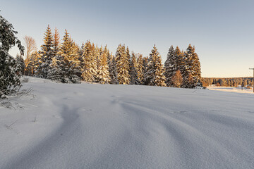 Schneelandschaft 2021