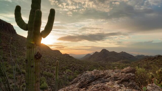 Timelapse/Hyperlapse of sunrise over cactus valley with partly cloudy sky