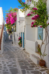 Traditional Cycladitic alley with narrow street, whitewashed houses and a blooming bougainvillea flowers in parikia, Paros island, Greece.