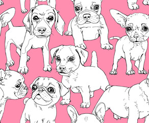 Seamless wallpaper pattern. Funny Cartoon puppies Characters. French Bulldog, Beagle, Jack Russell Terrier, Chihuahua, Pug. Textile composition, hand drawn style print. Vector illustration.