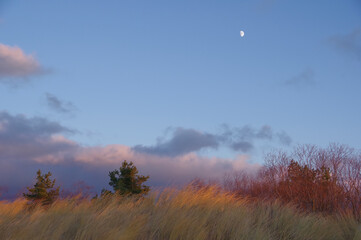 Sandy dunes by Baltic sea in windy spring evening under dramatic beautiful clouds
