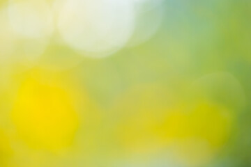 Abstract blurred nature background with bokeh for creative designs. Green leaves bokeh out of focus...