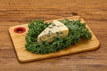 Dairy Blue cheese with mold