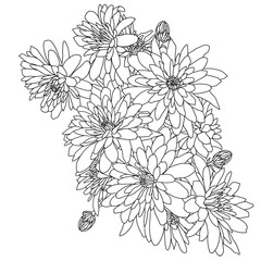 Beautiful sketch flower on white background
