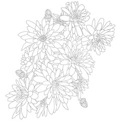 Beautiful sketch flower on white background