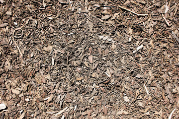 A top down view of a background of dirt on the ground, featuring chunks of wood chips and bark.