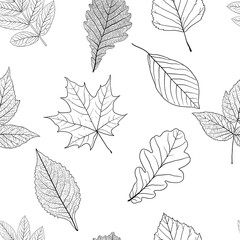 Seamless background with sketch leaves or background