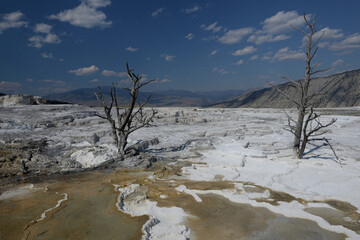 Mammoth Hot Springs in Yellowstone National Park, Wyoming, USA