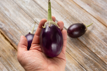A view of a hand holding a purple Indian eggplant, with a rustic wood background.