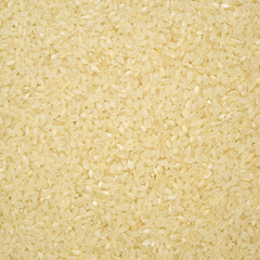 rice raw background