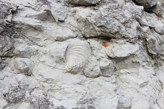 La carri&egrave;re de Tercis-les-bains -2