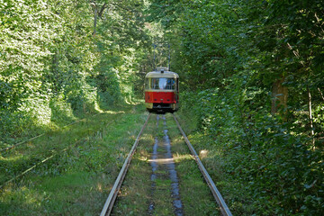 Fototapeta premium Tram is going through forest