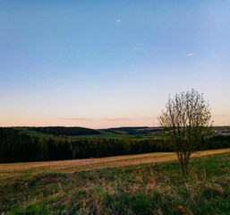 Obraz premium sunrise in the field