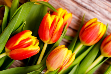 Spring tulips flower on wooden background. Tulip, gardening concept.