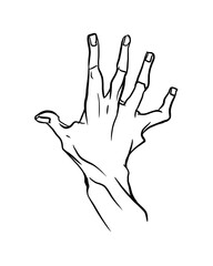 Hand drawing simple template. Gesture, fingers. Black and white line art isolated on background. 