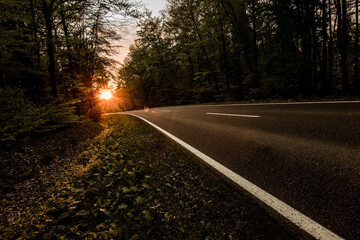 Fototapeta premium Sonnenuntergang im Wald am Straßenrand