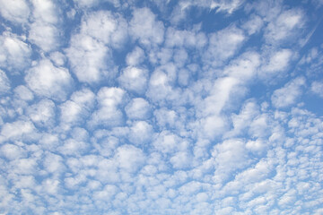 A view of the blue sky featuring clouds in a spotted design.