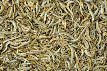 Small dried fishes  background 