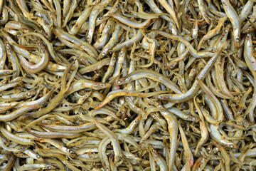 Small dried fishes  background 