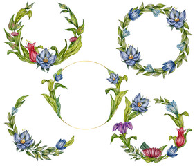 Bright and colorful wreaths with  foliage and flowers on white background