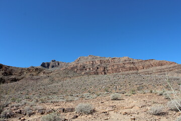 Grand Canyon Nationalpark Arizona Amerika