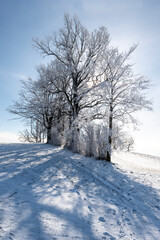 Mostviertel in winter