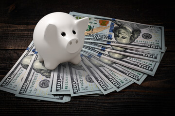 Piggy Bank save money investment and dollar bills isolated. BUcks cash investment