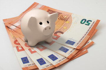 Piggy Bank save money investment and euro bills isolated