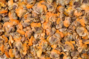 Fresh boiled cockle meat background