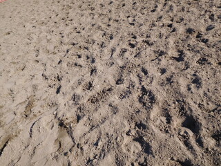 sand cover on show jumping parade ground with horse hoof prints, close-up texture background