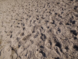 sand cover on show jumping parade ground with horse hoof prints, close-up texture background