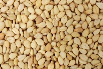 sesame seeds background 