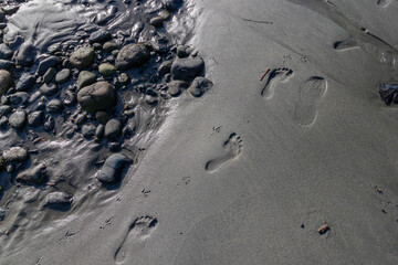 Footprints and bird track in the sand at the beach