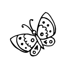 Butterfly hand drawing sketch in doodle style isolated on white background. Stock vector illustration. 