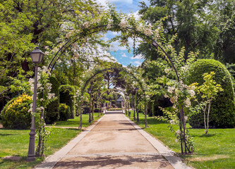 Park in Madrid