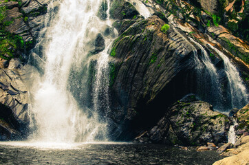 waterfall in the forest
