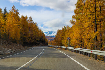 Fototapeta premium picturesque autumn mountains of the Altai Mountains in September 