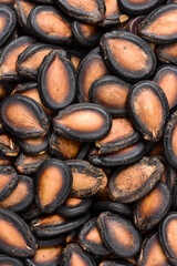  Black Melon Seeds background