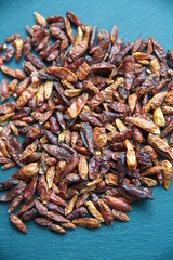 Dry chili pepper 