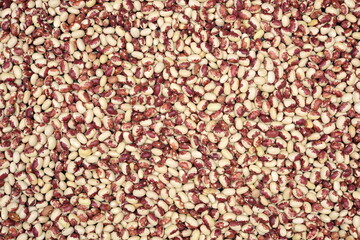 Dry beans background
