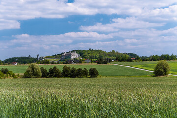 zamek ogrodzieniec, turystyka, rowery © Tomasz