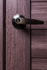 Metal door handle with lock close-up. Front view.