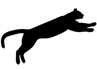 Puma jumping. Vector image.