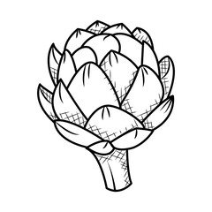 artichoke vegetable icon, sketch style