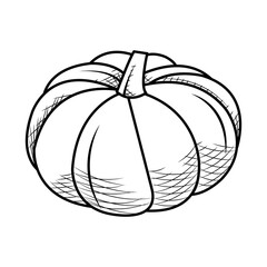 pumpkin vegetable icon, sketch style