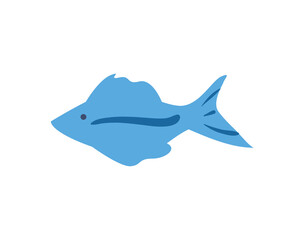 Blue fish animal with line vector design