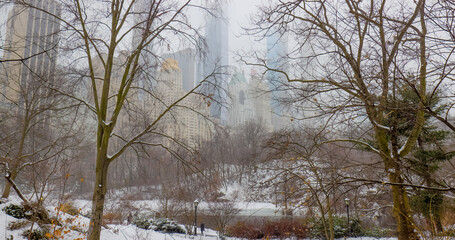 Central Park in New York City in snow
